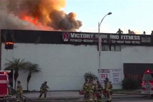 Victory Mma Fire Ultimate Guide to MMA: Training, Techniques, and Top Fighters in The World Victory Mma Fire | Ultimate Guide to MMA: Training, Techniques, and Top Fighters in The World