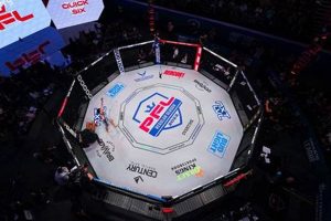 Top MMA PFL Fighters & Championship Highlights | Ultimate Guide to MMA: Training, Techniques, and Top Fighters in The World