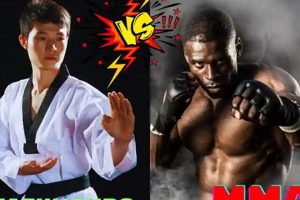 Taekwondo vs. MMA: Which Martial Art Wins? | Ultimate Guide to MMA: Training, Techniques, and Top Fighters in The World