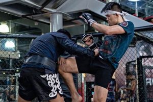 Ultimate MMA Wellness Guide for Fighters Ultimate Guide to MMA: Training, Techniques, and Top Fighters in The World Ultimate MMA Wellness Guide for Fighters | Ultimate Guide to MMA: Training, Techniques, and Top Fighters in The World