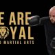 Royal Mma | Ultimate Guide to MMA: Training, Techniques, and Top Fighters in The World