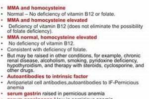 Understanding MMA Levels in B12 Deficiency Ultimate Guide to MMA: Training, Techniques, and Top Fighters in The World Understanding MMA Levels in B12 Deficiency | Ultimate Guide to MMA: Training, Techniques, and Top Fighters in The World