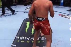 Top MMA Hashtags: Guide for Fighters & Fans Ultimate Guide to MMA: Training, Techniques, and Top Fighters in The World Top MMA Hashtags: Guide for Fighters & Fans | Ultimate Guide to MMA: Training, Techniques, and Top Fighters in The World
