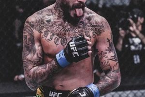 The Ultimate Guide to Chito MMA Training & Techniques | Ultimate Guide to MMA: Training, Techniques, and Top Fighters in The World
