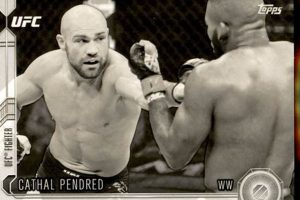 The Rise of Cathal Pendred in MMA Ultimate Guide to MMA: Training, Techniques, and Top Fighters in The World The Rise of Cathal Pendred in MMA | Ultimate Guide to MMA: Training, Techniques, and Top Fighters in The World
