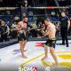 Recap: MMA Fight Yesterday - Results & Highlights | Ultimate Guide to MMA: Training, Techniques, and Top Fighters in The World