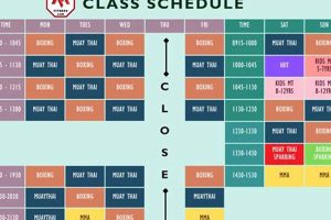 Your Ultimate MMA Lab Schedule Guide Ultimate Guide to MMA: Training, Techniques, and Top Fighters in The World Your Ultimate MMA Lab Schedule Guide | Ultimate Guide to MMA: Training, Techniques, and Top Fighters in The World