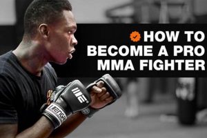 Ultimate Guide: Becoming a Pro MMA Fighter | Ultimate Guide to MMA: Training, Techniques, and Top Fighters in The World