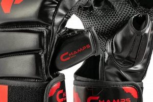 Champs Mma Ultimate Guide to MMA: Training, Techniques, and Top Fighters in The World Champs Mma | Ultimate Guide to MMA: Training, Techniques, and Top Fighters in The World