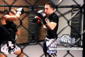 Best MMA Gyms & Training in Westchester NY Ultimate Guide to MMA: Training, Techniques, and Top Fighters in The World Best MMA Gyms & Training in Westchester NY | Ultimate Guide to MMA: Training, Techniques, and Top Fighters in The World