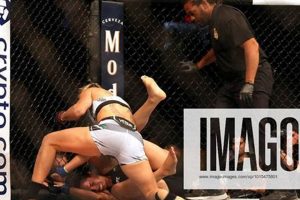 Best MMA Fights & Tickets in San Diego Ultimate Guide to MMA: Training, Techniques, and Top Fighters in The World Best MMA Fights & Tickets in San Diego | Ultimate Guide to MMA: Training, Techniques, and Top Fighters in The World