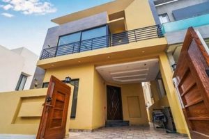 Top MMA Properties: Venues & Gyms Ultimate Guide to MMA: Training, Techniques, and Top Fighters in The World Top MMA Properties: Venues & Gyms | Ultimate Guide to MMA: Training, Techniques, and Top Fighters in The World