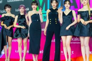 The Ultimate Guide to 2024 MMA Betting | Ultimate Guide to MMA: Training, Techniques, and Top Fighters in The World