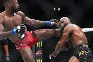 Ultimate MMA Knockout Power: Tips & Tricks | Ultimate Guide to MMA: Training, Techniques, and Top Fighters in The World