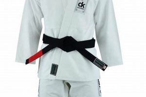 Gi Mma: Korean Slang Explained for MMA Fans Ultimate Guide to MMA: Training, Techniques, and Top Fighters in The World Gi Mma: Korean Slang Explained for MMA Fans | Ultimate Guide to MMA: Training, Techniques, and Top Fighters in The World