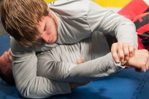 Top Bloomington MMA Gyms & Training Ultimate Guide to MMA: Training, Techniques, and Top Fighters in The World Top Bloomington MMA Gyms & Training | Ultimate Guide to MMA: Training, Techniques, and Top Fighters in The World