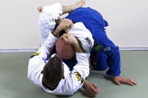 Mastering the MMA Triangle Choke: A Fighter's Guide Ultimate Guide to MMA: Training, Techniques, and Top Fighters in The World Mastering the MMA Triangle Choke: A Fighter's Guide | Ultimate Guide to MMA: Training, Techniques, and Top Fighters in The World