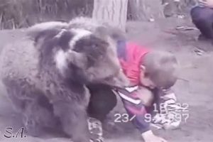 Young Khabib's Bear Wrestling Story: Origins Ultimate Guide to MMA: Training, Techniques, and Top Fighters in The World Young Khabib's Bear Wrestling Story: Origins | Ultimate Guide to MMA: Training, Techniques, and Top Fighters in The World