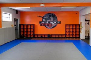 Decoding Pentagon MMA Costs & Budget Breakdown Ultimate Guide to MMA: Training, Techniques, and Top Fighters in The World Decoding Pentagon MMA Costs & Budget Breakdown | Ultimate Guide to MMA: Training, Techniques, and Top Fighters in The World