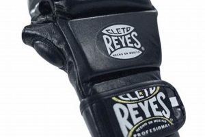 Best Cleto Reyes Gloves for MMA Training | Ultimate Guide to MMA: Training, Techniques, and Top Fighters in The World