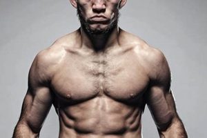 Ultimate MMA Style Guide & Training Tips | Ultimate Guide to MMA: Training, Techniques, and Top Fighters in The World
