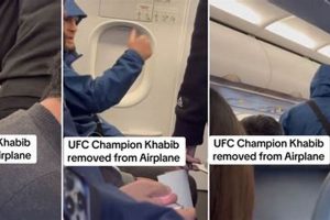 Khabib Plane Celebration: Iconic MMA Move | Ultimate Guide to MMA: Training, Techniques, and Top Fighters in The World