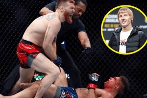 Ultimate MMA Stop: Guide to Fight Cessation | Ultimate Guide to MMA: Training, Techniques, and Top Fighters in The World