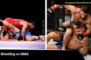 Best Wrestling Techniques for MMA Fighters | Ultimate Guide to MMA: Training, Techniques, and Top Fighters in The World