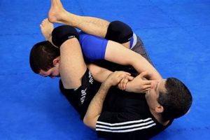 Mastering the Arm Bar in MMA: A Complete Guide | Ultimate Guide to MMA: Training, Techniques, and Top Fighters in The World