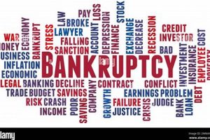 MMA Bankruptcy: Causes, Cases, & Prevention | Ultimate Guide to MMA: Training, Techniques, and Top Fighters in The World