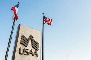 Best USAA MMA Coverage & Insurance Options | Ultimate Guide to MMA: Training, Techniques, and Top Fighters in The World