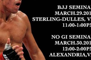 Best MMA Gym in Burke | Capital MMA | Ultimate Guide to MMA: Training, Techniques, and Top Fighters in The World