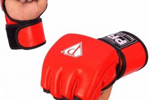 Best 4 Ounce MMA Gloves for 2024 | Ultimate Guide to MMA: Training, Techniques, and Top Fighters in The World