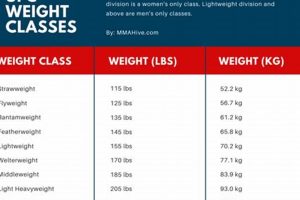 Ultimate Guide to MMA Weight Groups &amp; Divisions | Ultimate Guide to MMA: Training, Techniques, and Top Fighters in The World