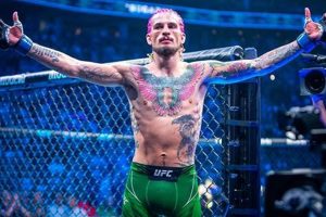 Mma Sean | Ultimate Guide to MMA: Training, Techniques, and Top Fighters in The World