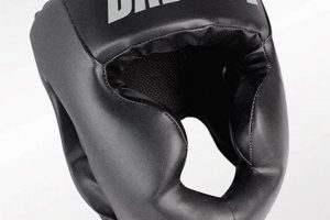 The Ultimate Badboy MMA Fighter Guide | Ultimate Guide to MMA: Training, Techniques, and Top Fighters in The World