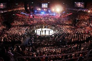 Ultimate Las Vegas MMA Events Guide | Ultimate Guide to MMA: Training, Techniques, and Top Fighters in The World