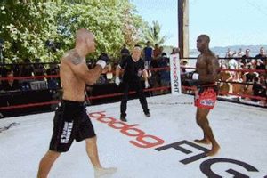 The Legacy of Bodog MMA: A History | Ultimate Guide to MMA: Training, Techniques, and Top Fighters in The World