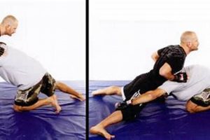 Mastering the MMA Sprawl: A Fighter's Guide | Ultimate Guide to MMA: Training, Techniques, and Top Fighters in The World