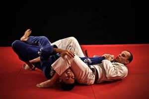 Ultimate Freestyle MMA & Jiu-Jitsu Guide | Ultimate Guide to MMA: Training, Techniques, and Top Fighters in The World