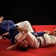 Ultimate Freestyle MMA & Jiu-Jitsu Guide | Ultimate Guide to MMA: Training, Techniques, and Top Fighters in The World