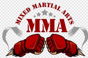 Ultimate MMA & Kickboxing Training Guide | Ultimate Guide to MMA: Training, Techniques, and Top Fighters in The World