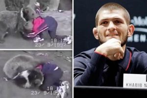 Young Khabib Wrestles Bear Cub: Early Training | Ultimate Guide to MMA: Training, Techniques, and Top Fighters in The World