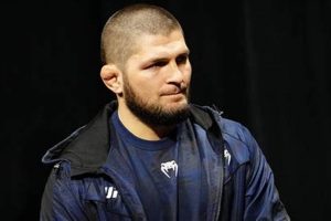 The Real Reason: Why Khabib Retired Undefeated | Ultimate Guide to MMA: Training, Techniques, and Top Fighters in The World