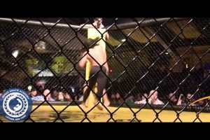 Top Albany NY MMA Gyms & Training | Ultimate Guide to MMA: Training, Techniques, and Top Fighters in The World