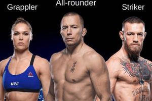 Ultimate MMA Fighting Styles Guide | Ultimate Guide to MMA: Training, Techniques, and Top Fighters in The World