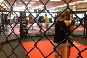 Best MMA Gyms & Training in Fairfax, VA | Ultimate Guide to MMA: Training, Techniques, and Top Fighters in The World