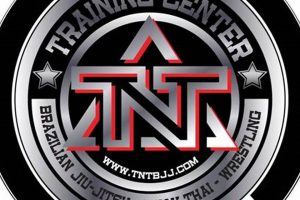 TNT MMA: Explosive Fight Action & Training | Ultimate Guide to MMA: Training, Techniques, and Top Fighters in The World