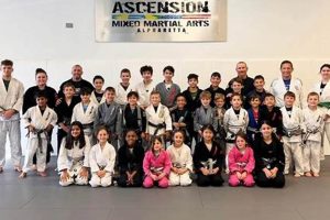 Ascension Mma Alpharetta | Ultimate Guide to MMA: Training, Techniques, and Top Fighters in The World