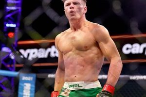Pro MMA Fighter Chris Wade: Bio, Stats & Highlights | Ultimate Guide to MMA: Training, Techniques, and Top Fighters in The World